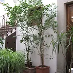 住宿加早餐酒店 Bb Santa Rosa 维泰博