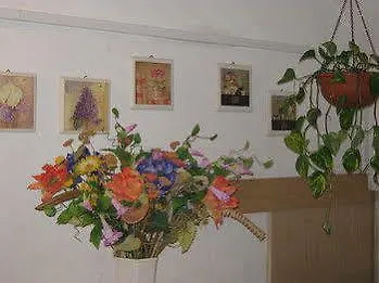 Bb Santa Rosa 2* Βιτέρμπο