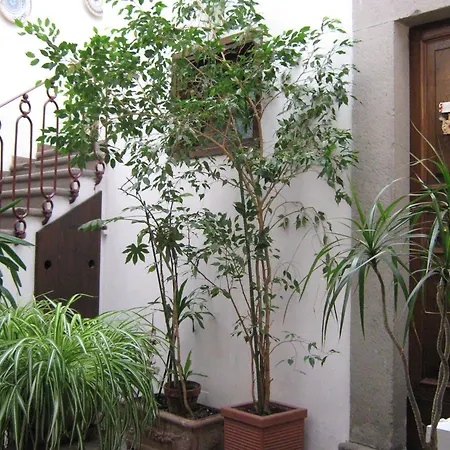 Bed & Breakfast Bb Santa Rosa Viterbo
